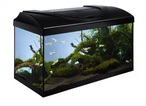 Aquariumset 60 - schwarz 60x30x30 cm